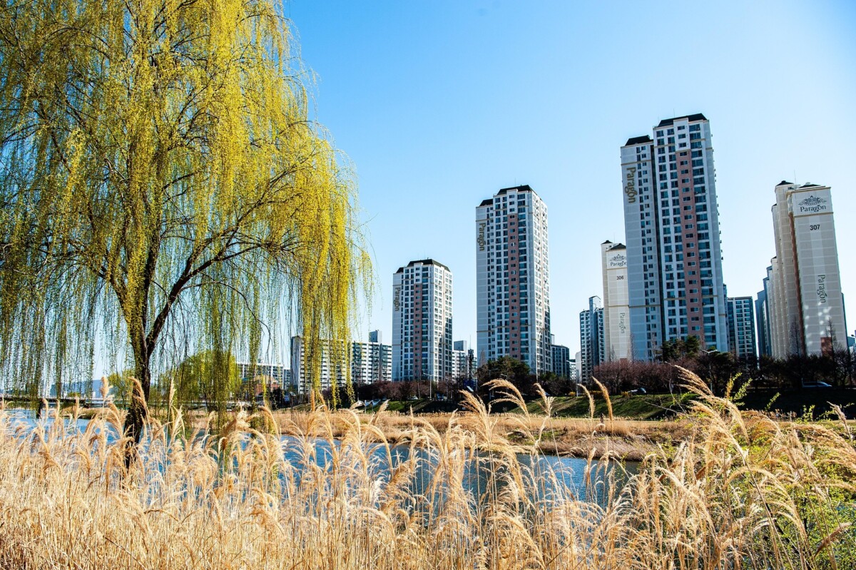 2026 뉴홈 사전청약 단지의 쾌적한 주거 환경을 보여주는 참고용 아파트 전경 사진